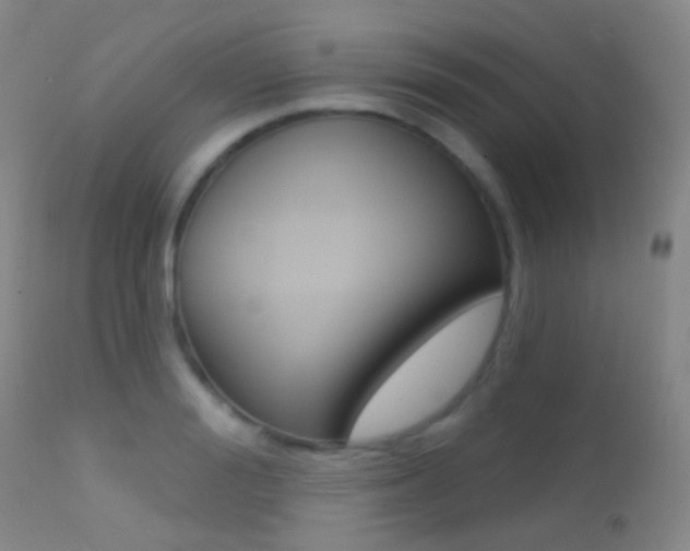 X0000113200988200909100918