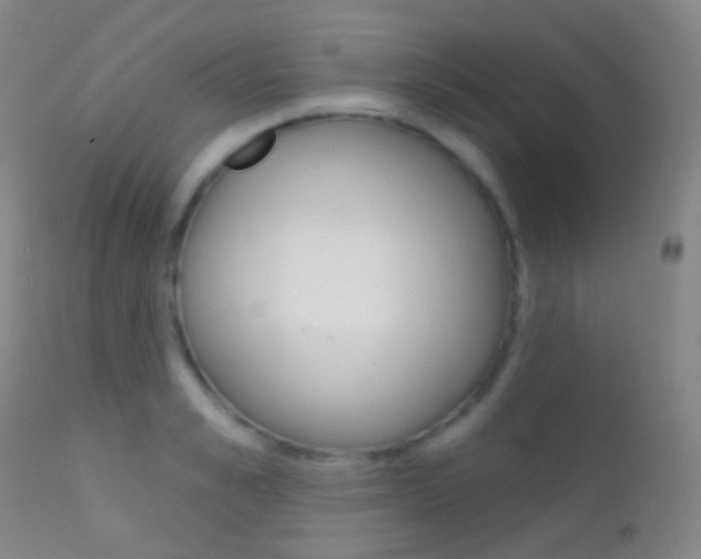 X0000113200989200909100918
