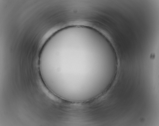 X0000113200990200909100918