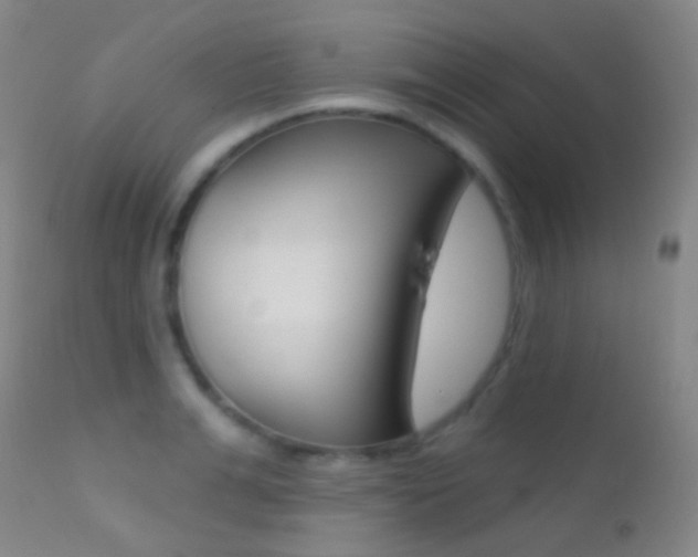X0000113200991200909100918