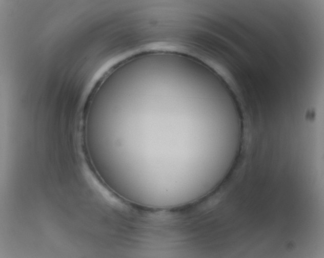 X0000113200992200909100918