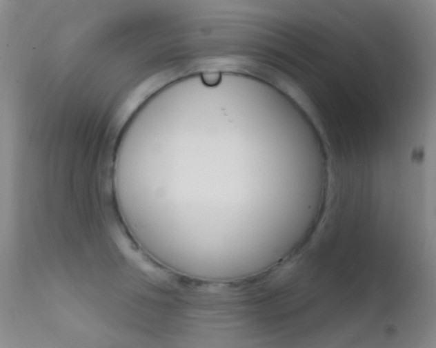 X0000113200994200909100918