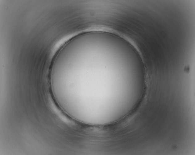 X0000113200995200909100918