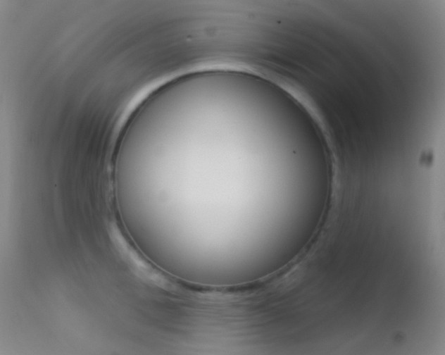 X0000113200996200909100918