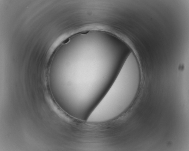 X0000113200997200909100918