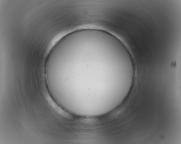 X0000113200998200909100918
