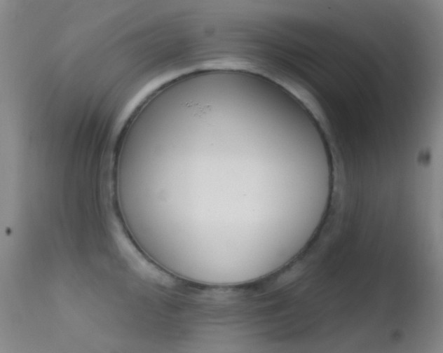 X0000113201000200909100918