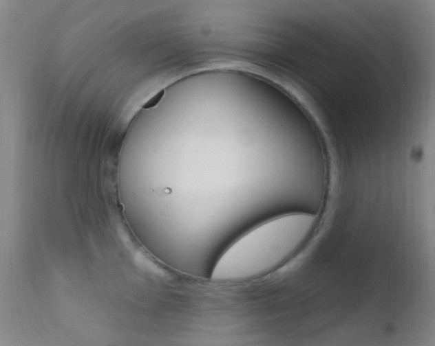 X0000113201001200909100918