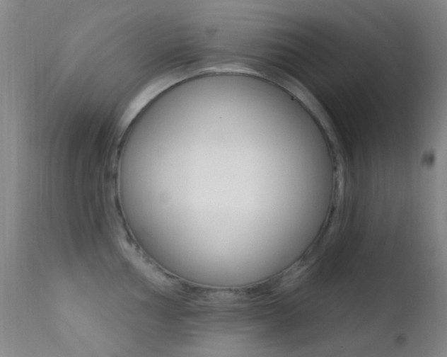 X0000113201002200909100918