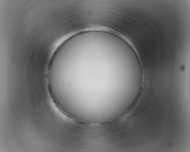 X0000113201003200909100918