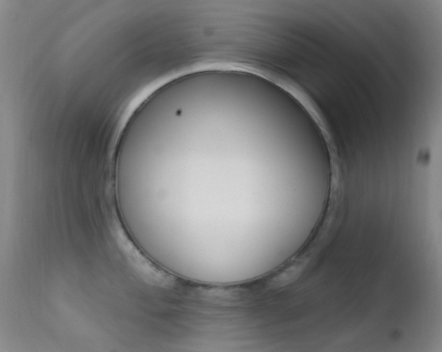 X0000113201004200909100918