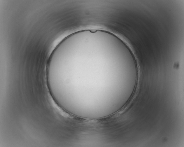 X0000113201006200909100918