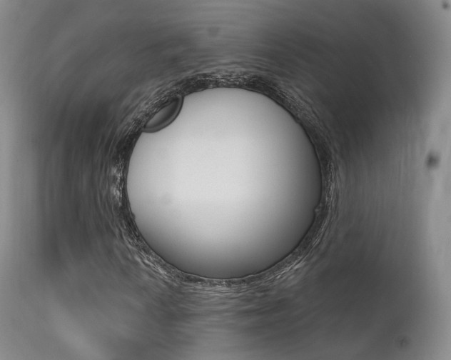 X0000113201010200909100917