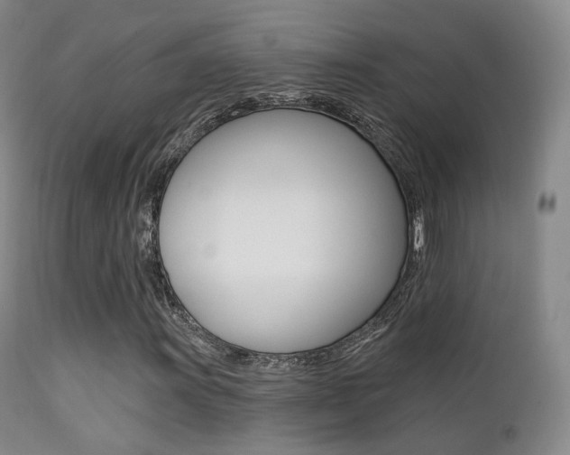 X0000113201011200909100917