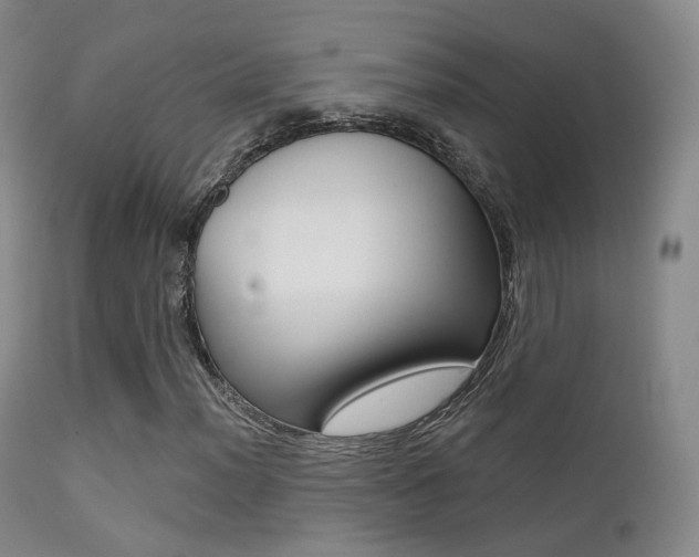 X0000113201012200909100917