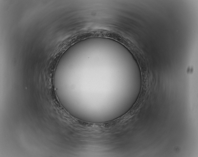 X0000113201013200909100917