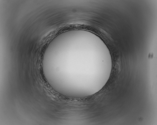 X0000113201014200909100917