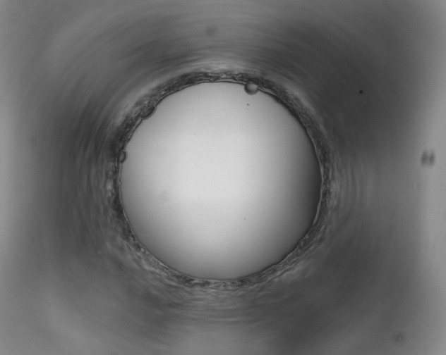 X0000113201016200909100917