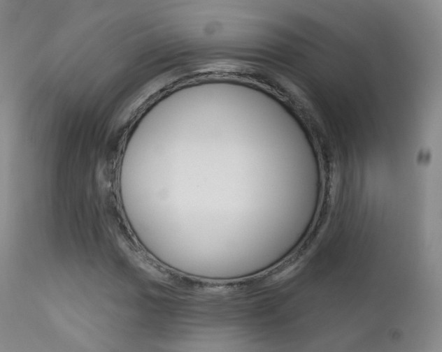 X0000113201017200909100917