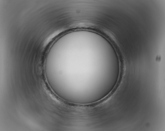 X0000113201018200909100917