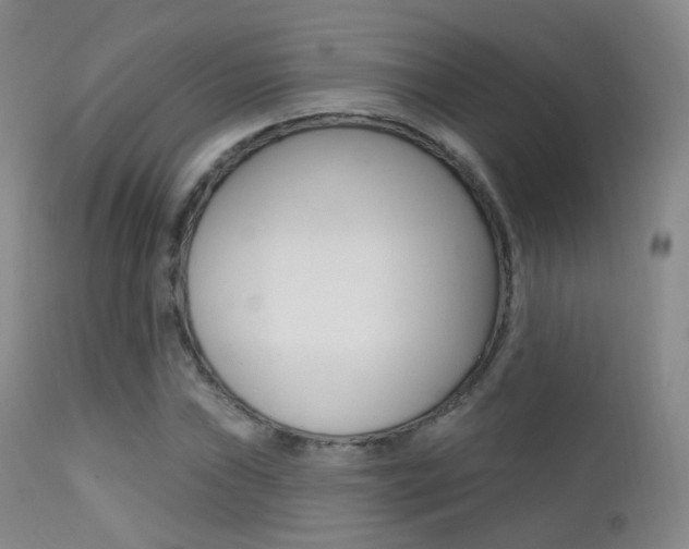 X0000113201019200909100917