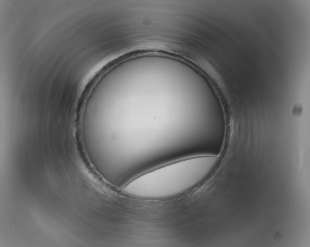 X0000113201020200909100917