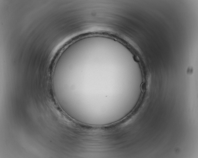 X0000113201021200909100917