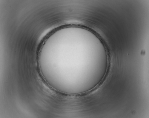 X0000113201022200909100917