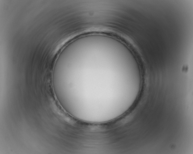 X0000113201025200909100917