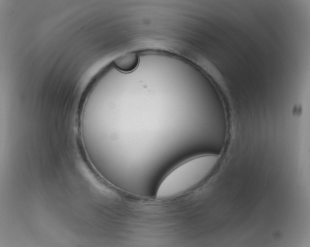 X0000113201028200909100917