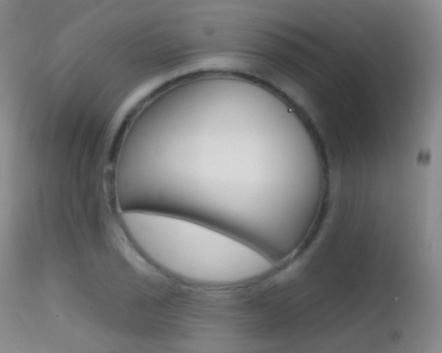 X0000113201029200909100917