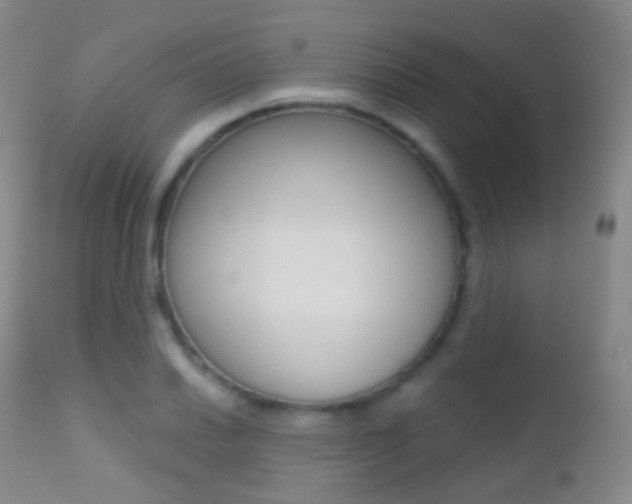 X0000113201030200909100917