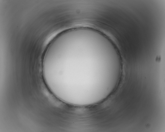 X0000113201031200909100917
