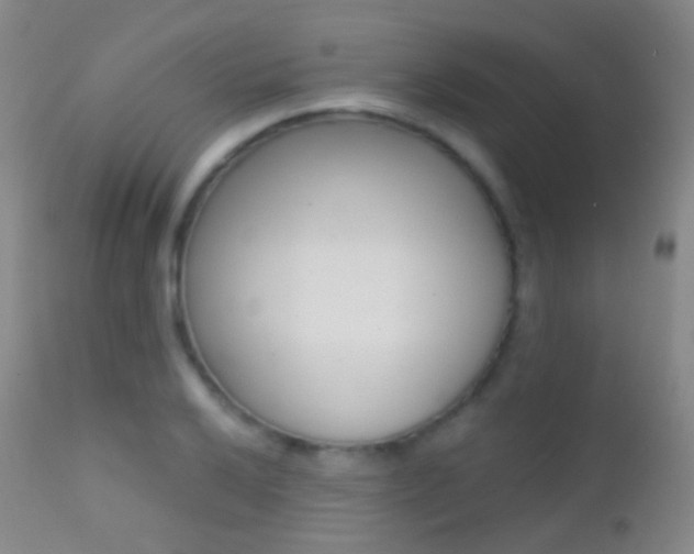 X0000113201032200909100917