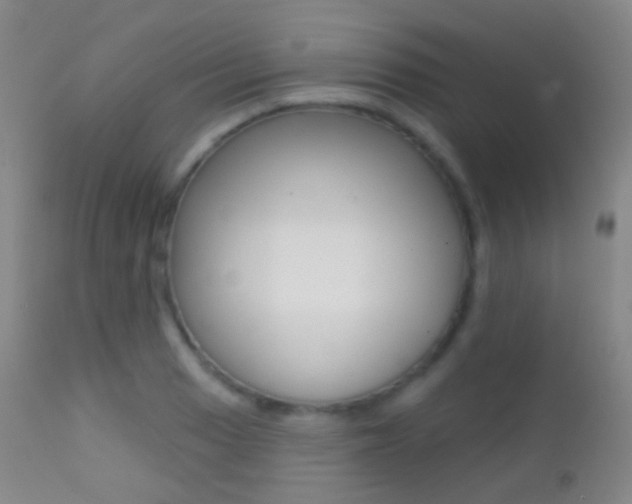 X0000113201033200909100917