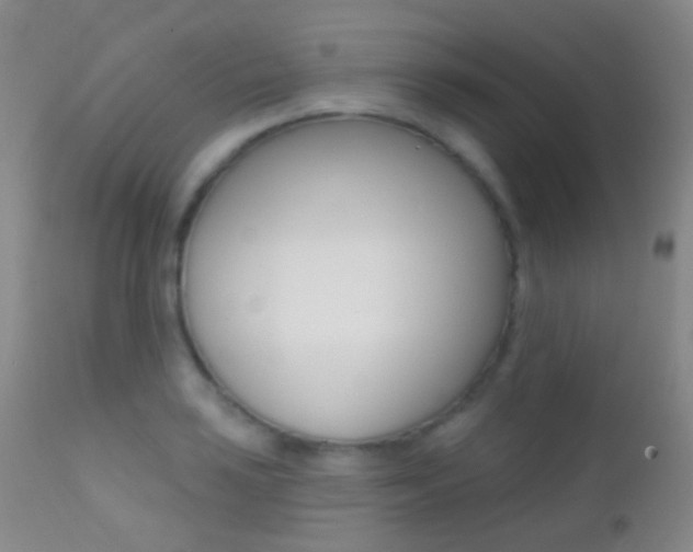 X0000113201035200909100917
