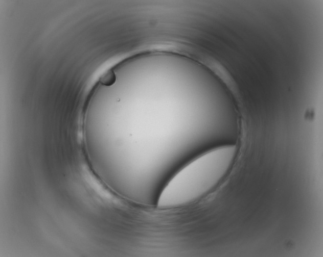 X0000113201036200909100917