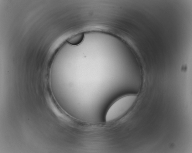 X0000113201038200909100917