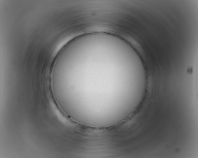 X0000113201039200909100917