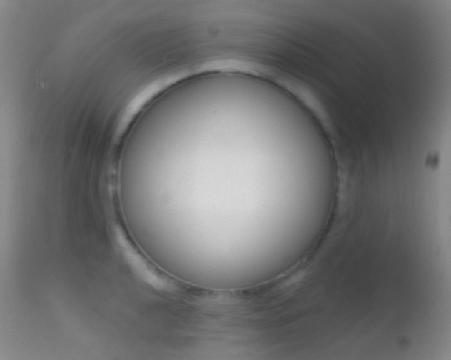 X0000113201040200909100917