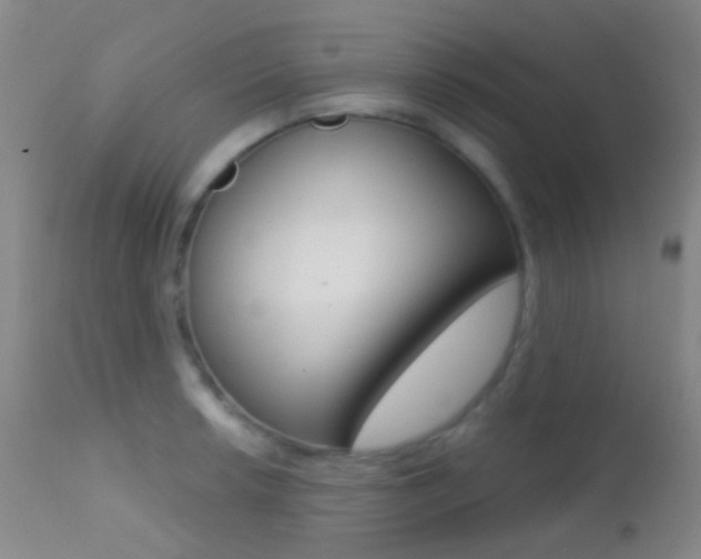 X0000113201042200909100917
