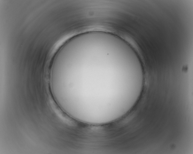 X0000113201043200909100917