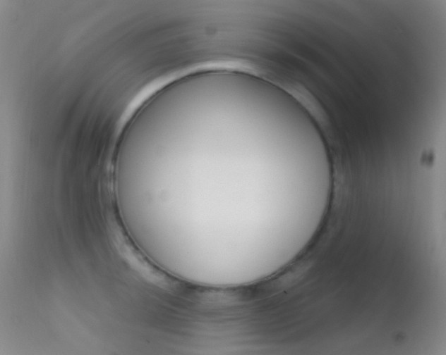 X0000113201044200909100917