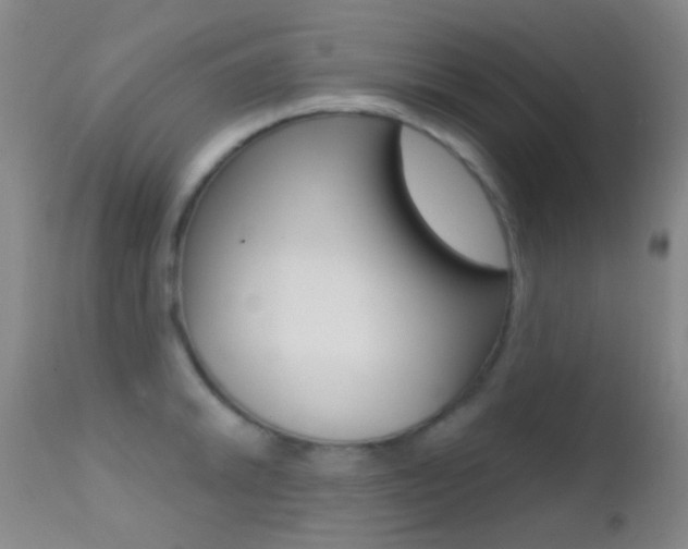 X0000113201046200909100917