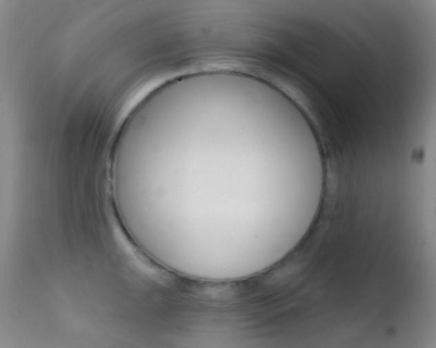 X0000113201047200909100917