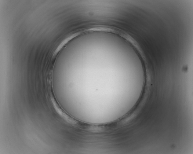 X0000113201049200909100917