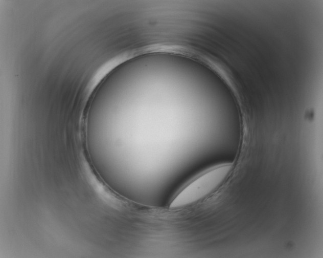 X0000113201050200909100917