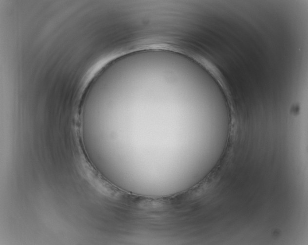 X0000113201051200909100917