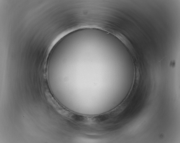 X0000113201052200909100917