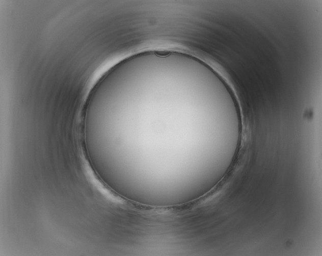 X0000113201053200909100917